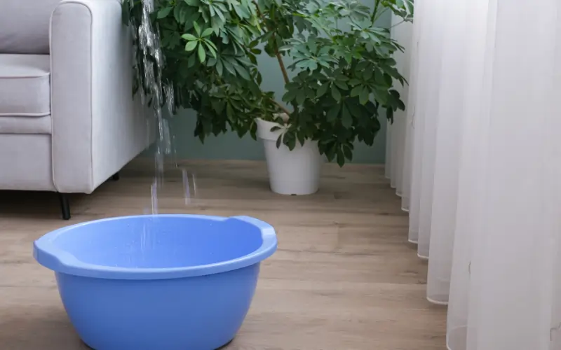 Can You Sell a House with Water Damage in Missouri Essential Guide